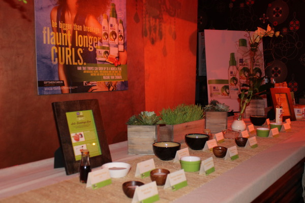 Dark and Lovely® Au Naturalé & Everyday People Style Suite and Brunch