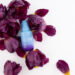 how to apply bloomeffects black tulip regenerating serum